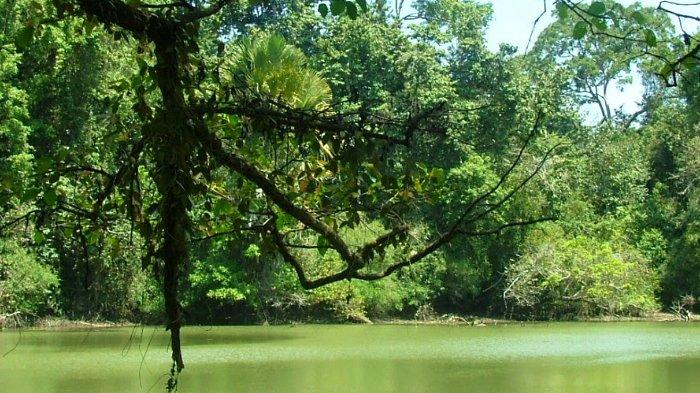 Menengok lokasi mahasiswa IPB menghilang lalu tewas di Pulau Sempu, Malang, Jawa Timur. Jasad Galang ditemukan jauh dari lokasi awalnya dikabarkan menghilang