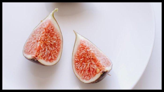 ILUSTRASI buah tin atau ara atau fig