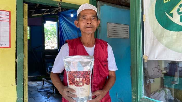 Dadang Sutarsa (55) pendiri Bank Sampah Unit Siliwangi yang berlokasi di Sukamulya, Kecamatan Bogor Timur, Kota Bogor, terus berinovasi untuk meraup uang dari budidaya ulat maggot.