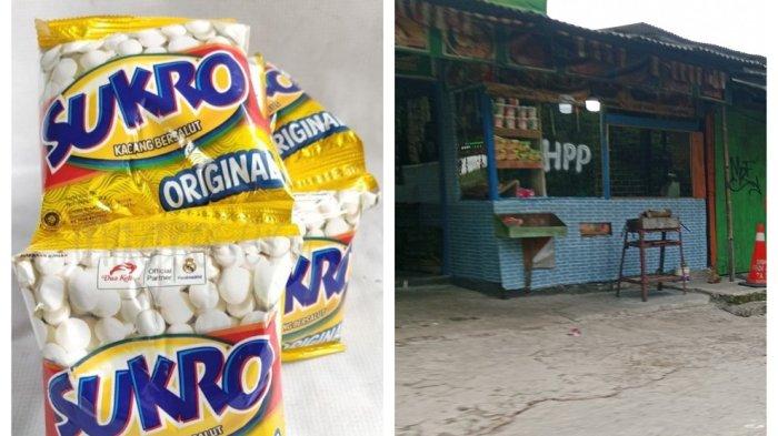 Penampakan kacang sukro sultan yang viral