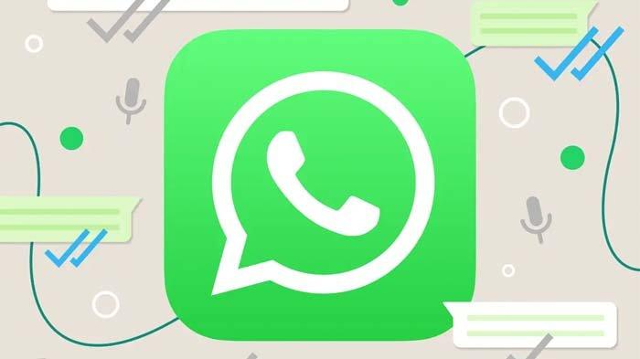 Simak cara melindungi akun WhatsApp agar tak diretas Hacker. Salah satunya adalah mewaspadai jika ada chat dari nomor tak dikenal.