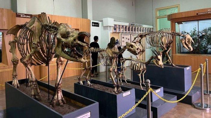 Museum Zoologi di Bogor merupakan tempat wisata yang menampilkan fosil-fosil hewan bersejarah. Bisa dikunjungi usai puas menjelajahi Kebun Raya Bogor.