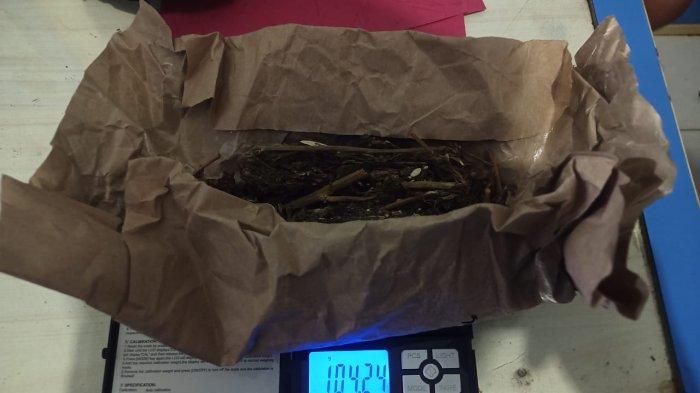 Barang bukti pengungkapan narkoba jenis ganja kering yang dilakukan tersangka MFI
