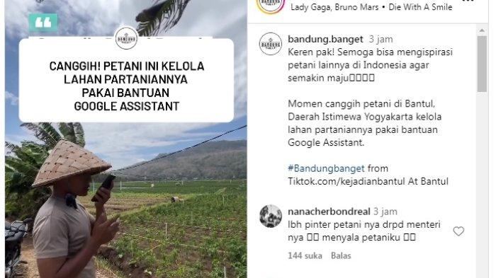 Petani menggunakan Google Assistant untuk menyiram sawahnya.
