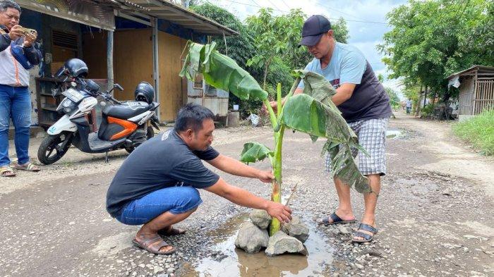 Warga tanam pohon pisang di Jalan Kabupaten di Desa Pondoh, Kecamatan Juntinyuat, Kabupaten Indramayu, Jawa Barat, Jumat (4/4/2025).
