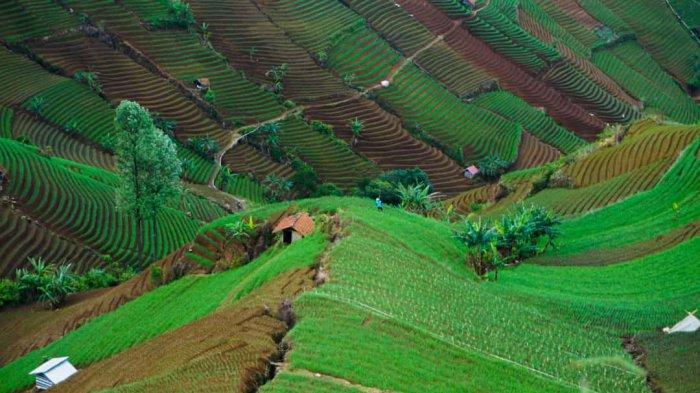 Potret Objek Wisata Terasering Panyaweuyan Majalengka.