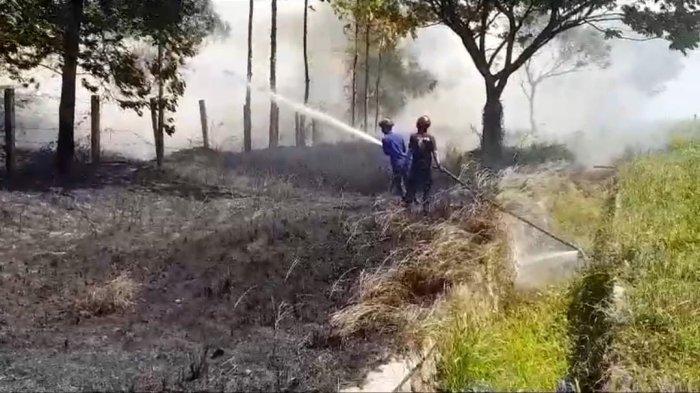 Peristiwa kebakaran lahan yang berada persis di sebelah ruas tol terjadi di KM 147 Cipali wilayah Kabupaten Majalengka, Jawa Barat, Sabtu (22/7/2023)