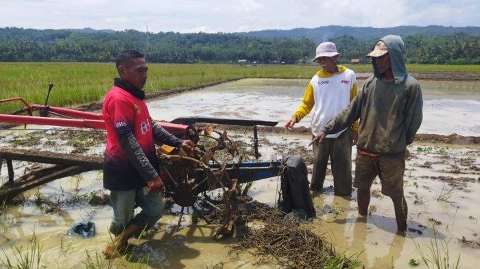 Motor petani yang hilang di sawah