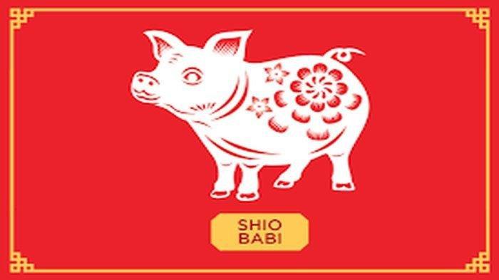 Shio Babi
