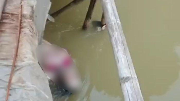 Tangkapan layar video yang memperlihatkan sesosok mayat perempuan mengambang di sungai wilayah Tegalgubug, Kecamatan Arjawinangun, Kabupaten Cirebon pada Minggu (5/5/2024)