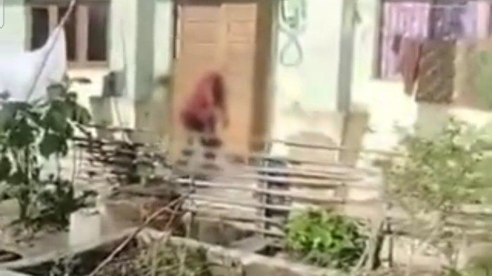 Viral video yang memperlihatkan pria diduga maling ditemukan tewas dengan kondisi terjepit pintu