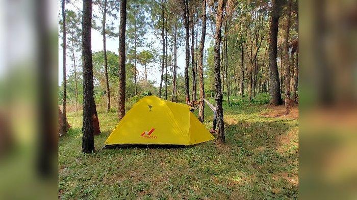 Suasana di Hutan Pinus dan Camping Ground Wisata Alam Mega Tutupan di Kampung Legok Sura, Jalan Baduyut, Baros, Kecamatan Arjasari, Kabupaten Bandung