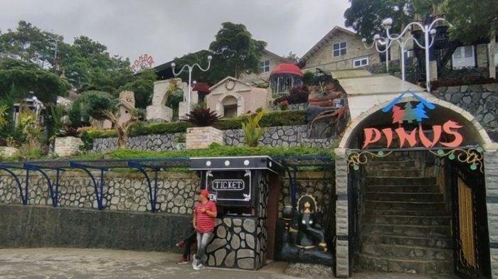 Yuk Mampir ke Kuningan Ada di Wisata Cai Pinus, Tiap Hari Buka