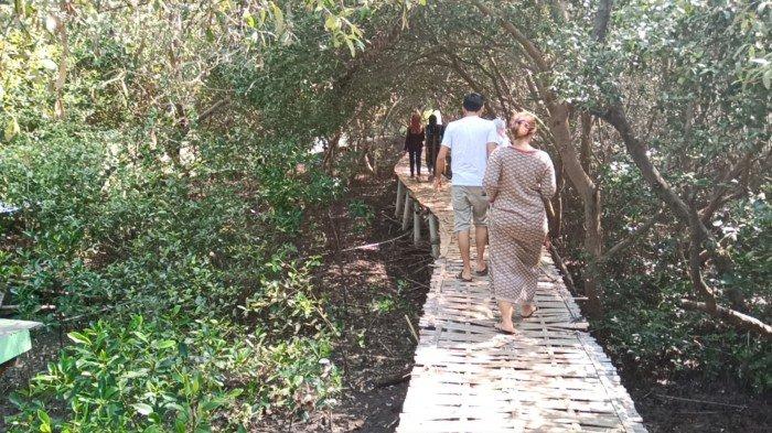 Hutan Mangrove Karangsong