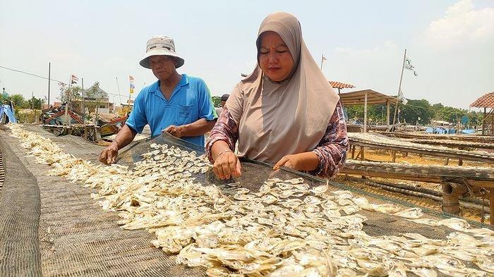 Tampak perajin ikan asin di Kampung Mertasinga, di Desa Mertasinga, Kecamatan Gunungjati , Kabupaten Cirebon saat menjemur ikan di tengah terik matahari, Selasa (24/10/2023).