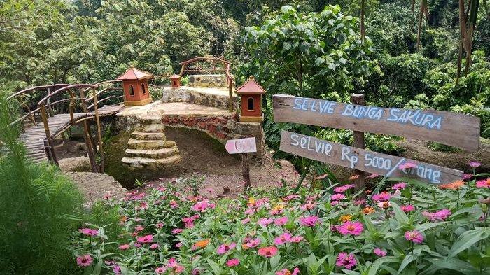 Wisata Alam Ciwado yang berlokasi di Kampung Ciwado, Desa Cikawung, Kecamatan Terisi, Kabupaten Indramayu.
