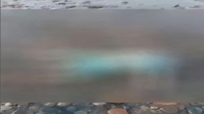 Penemuan Jenazah Aqila di Muara Cihara, Kecamatan Pangarangan, Kabupaten Lebak, Banten