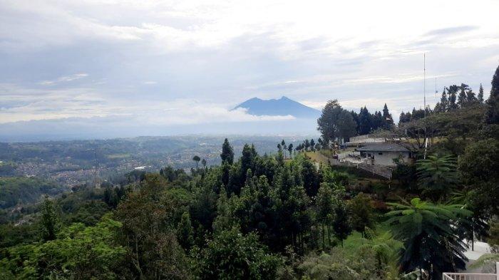 WISATA PUNCAK BOGOR - Menikmati kopi senja sambil melihat pemandangan Gunung Pangrango dari Luxecamp Bukit Damar Puncak berlokasi di Jalan Cipendawa No.92, Kecamatan Megamendung, Kabupaten Bogor, Jawa Barat. (TribunnewsDepok.com/Hironimus Rama)