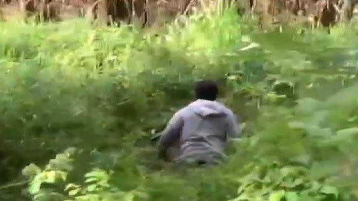 Akibat Mabuk Kecubung Pemuda Nyebur ke Rawa-rawa di Banjarmasin, Kalimantan Selatan