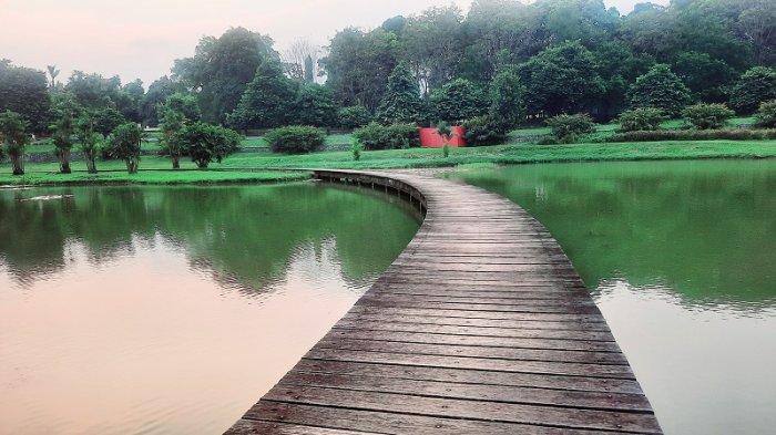 Pemandangan indah di Danau Dora, Kebun Raya Cibinong, Kabupaten Bogor, pada Kamis (25/7/2024).
