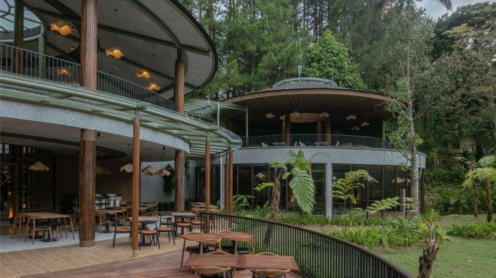 Salah satu spot menarik di Enchanting Valley yang berlokasi di Megamendung, Puncak, Bogor, pada Jumat (24/1/2025).