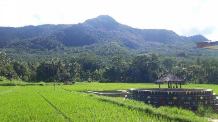 PEMANDIAN- Areal persawahan di sekitar kolam pemandian air panas Wae Kolang Lua, Desa Wisata Wae Lolos, Kecamatan Sano Nggoang, Manggarai Barat.