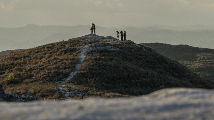BUKIT- Pesona Bukit Wairinding di Sumba Timur saat musim kemerau.