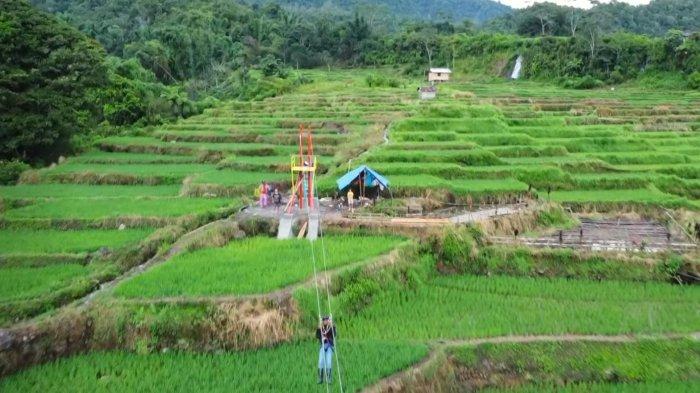 ATRAKSI WISATA - Wahana flying fox Desa Wisata Golo Loni, di Kabupaten Manggarai Timur, Nusa Tenggara Timur. 