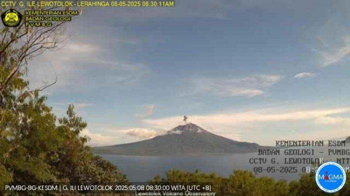 24 Jam Terakhir, Gunung Lewotolok Erupsi 176 Kali dan Gempa Hembusan 199 Kali