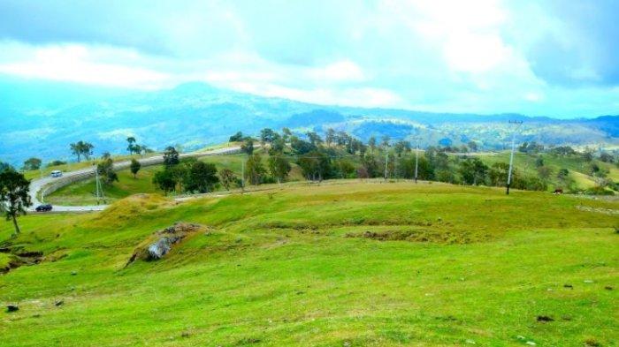 PADANG LELOGAMA - Padang Savana Humon atau padang Lelogama yang hits di awal tahun 2024 ini, Februari 2024.
