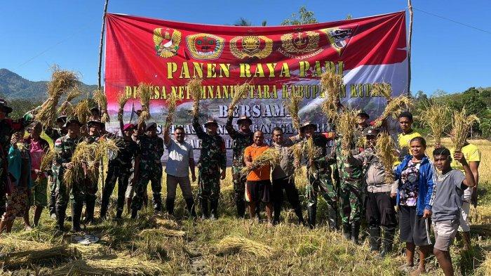 Dansatgas RI-RDTL Sektor Barat Yonkav 6/Naga Karimata Pimpin Panen Raya ...