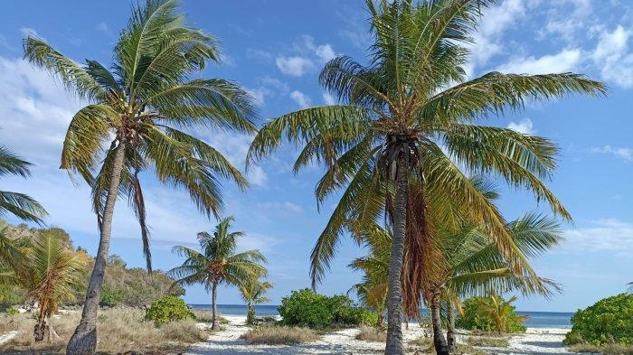 PESISIR- Pantai pasir putih di Pulau Pemana.