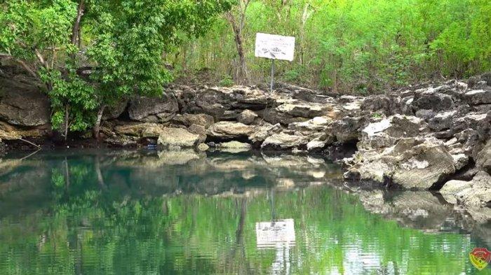 DESTINASI- Kolam Penyu UisimAu, Pulau Semau, Kabupaten Kupang, Nusa Tenggara Timur (NTT).