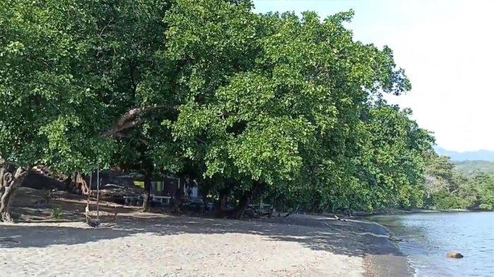 PANTAI WAIRTERANG- Keindahan pasir hitam di sepanjang pesisir Pantai Wairterang, Maumere, Kabupaten Sikka.