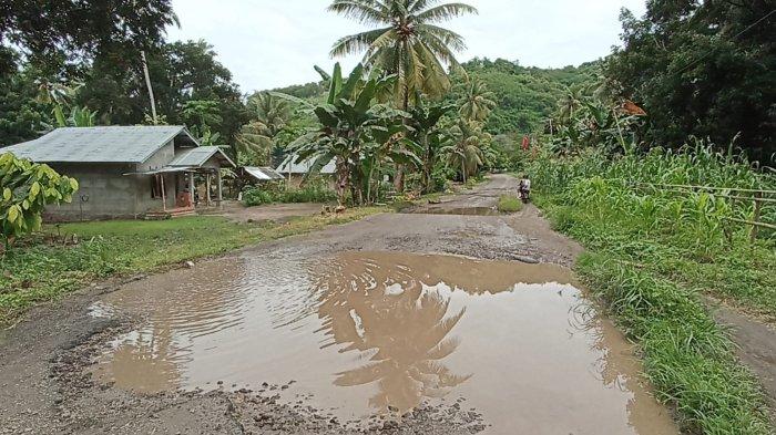 AIR TERGENANG - Ruas jalan Provinsi Pantai Utara Flores yang tergenang air di Nangawuwu Desa Aewora, Kecamatan Maurole, Kabupaten Ende, NTT, Rabu 17 Januari 2024.