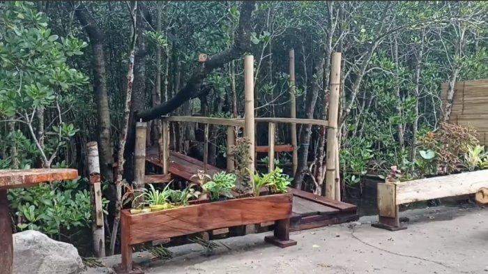 EKOWISATA- Ekowisata Mangrove Watubaing, Kabupaten Sikka, Flores, Nusa Tenggara Timur