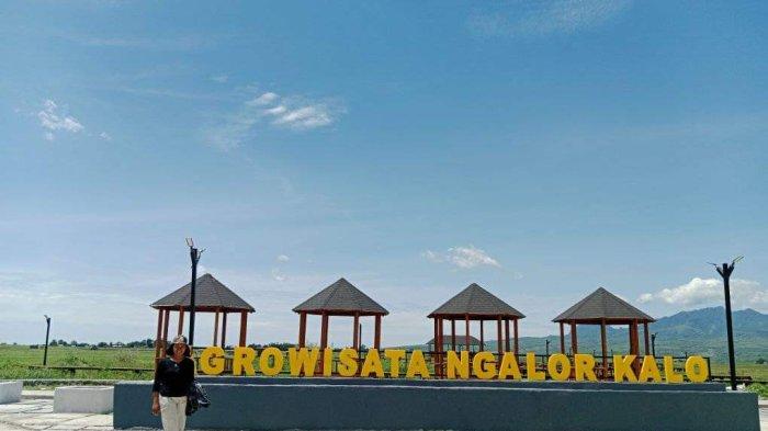 AGROWISATA-