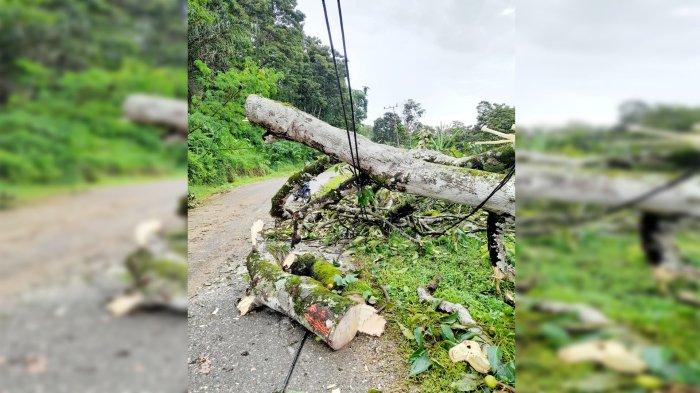 Longsor kembali terjadi di Putri Betung, Jalur Blangkejeren-Kutacane lumpuh total