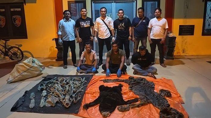 Ketua DPRK Pujikan Kinerja Satreskrim Polres Aceh Tengah Tangkap Pelaku Perusak Hutan Lindung