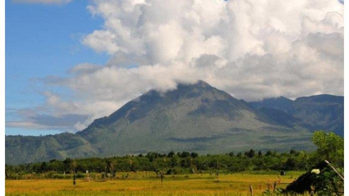 Gunung Burni Telong di Bener Meriah. Foto Tribunnews.com