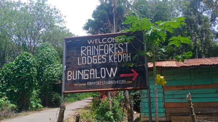 Objek wisata Rain Forest Lodges Kedah Bunglow berada di kawasan kaki Taman Nasional Gunung Leuser, tersedia penginapan bagi wisatawan.