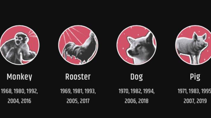 Lambang shio. Ramalan peruntungan shio Monyet, Ayam, Anjing, Babi besok hari Minggu 25 Juni 2023.