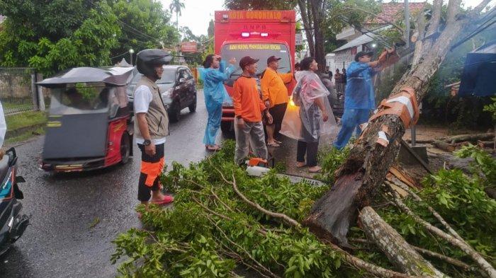 Petugas BPBD Kota Gorontalo berusaha menyingkirkan pohon tumbang di depan Rudis Wagub Gorontalo, Minggu (16/4/2023).