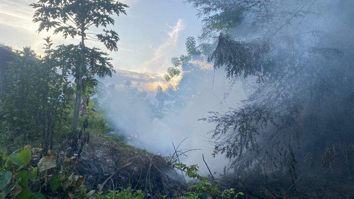 Kondisi lahan yang terbakar, Sabtu (25/8/2023).