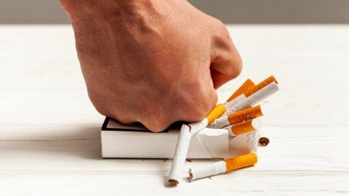 6 Cara Berhenti Merokok Permanen, Pemadat Sekalipun Bisa Sembuh jika ...