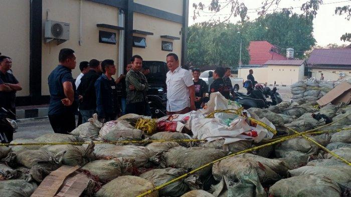 Barang Bukti Batu Hitam yang diamankan di Mapolda Gorontalo.