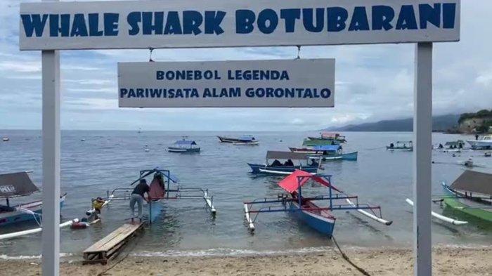 Destinasi wisata Hiu Paus Gorontalo hari ini, Kamis (09/5/2024).