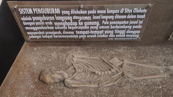 JEJAK ARTEFAK - Display Manusia Oluhuta di Museum Purbakala Gorontalo Kamis (13/7/2025). Tengkorak dan potongan tubuh Manusia Oluhuta telah berhasil dibawa pulang oleh Museum Purbakala Gorontalo dari Manado.