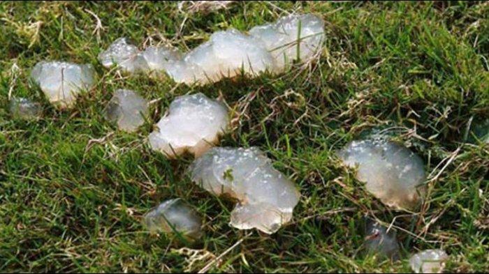 Hujan Jeli: Foto butiran jeli yang jatuh dari langit, diambil dari BBC, Minggu (16/2). Hujan jeli pernah terjadi di Skotlandia pada 2009.