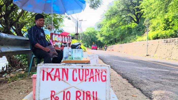 BUDIDAYA IKAN HIAS - Sosok , penjual ikan hias dari Desa Bondawuna, Kecamatan Suwawa Selatan, Kabupaten Bone Bolango, Provinsi Gorontalo, Sabtu (26/4/2025). Halid berjualan di bahu jalan.